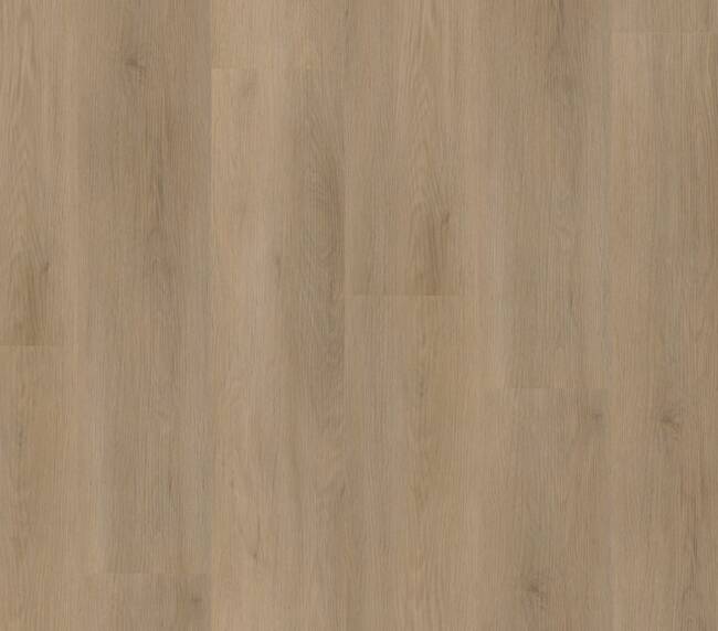 Ambiant Sentima dryback natural oak