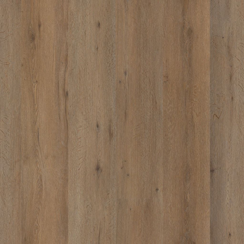 Ambiant Vivero dryback smoky