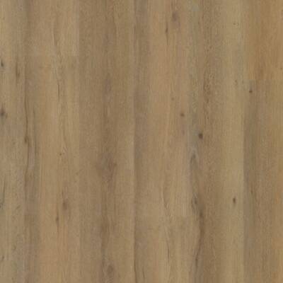 Ambiant Vivero dryback dark oak