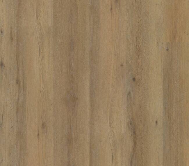 Ambiant Vivero dryback dark oak
