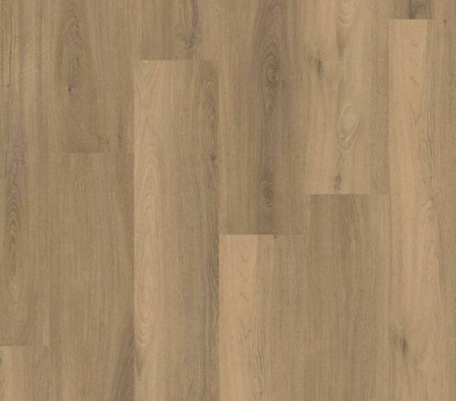 Ambiant Avanto click SRC natural