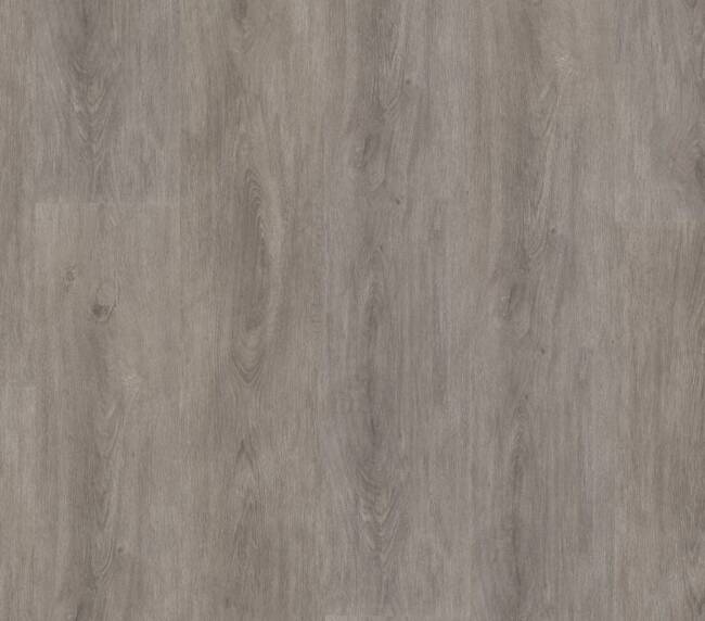 Ambiant Robusto click SRC grey oak