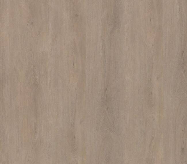 Ambiant Robusto click SRC light oak