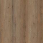 Ambiant Vivero click SRC smoky