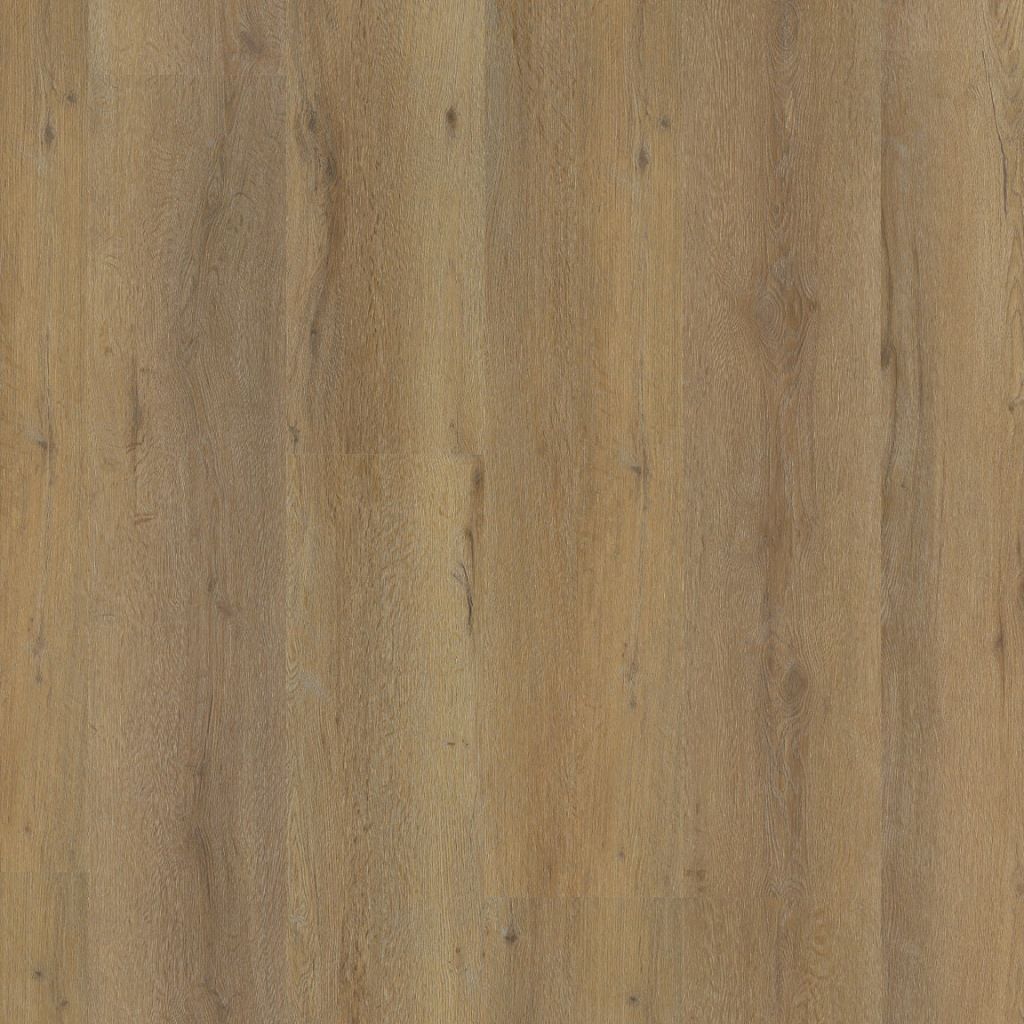Ambiant Vivero click SRC dark oak