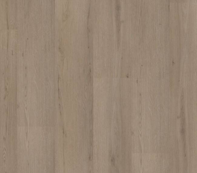 Ambiant Venera dryback smoky
