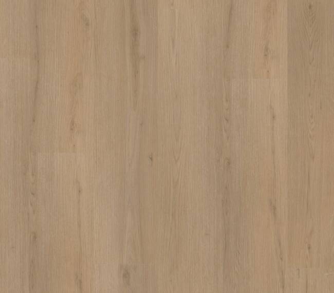 Ambiant Venera dryback natural oak