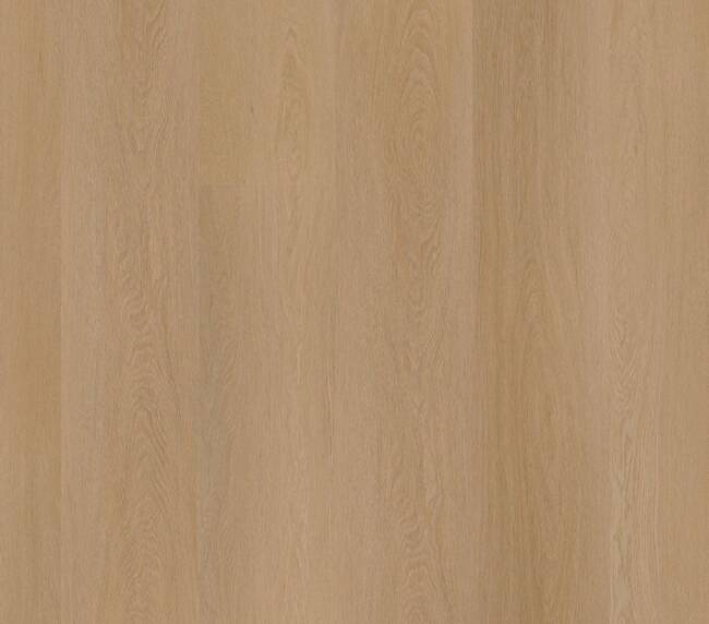 Ambiant Estino dryback dark oak