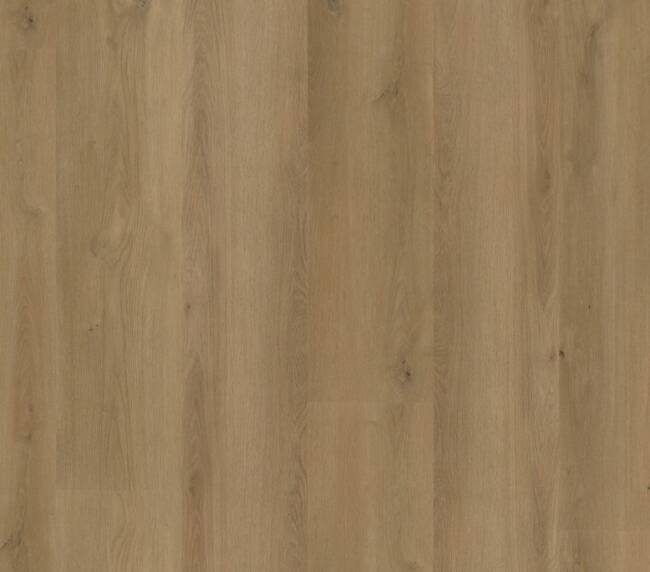 Ambiant Espero dryback dark oak