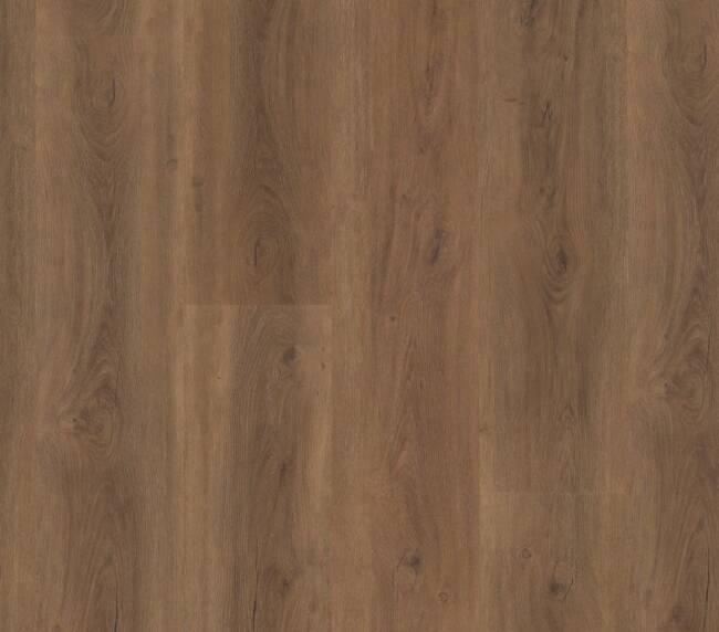Ambiant Robusto dryback warm brown