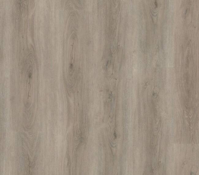 Ambiant Robusto dryback light grey