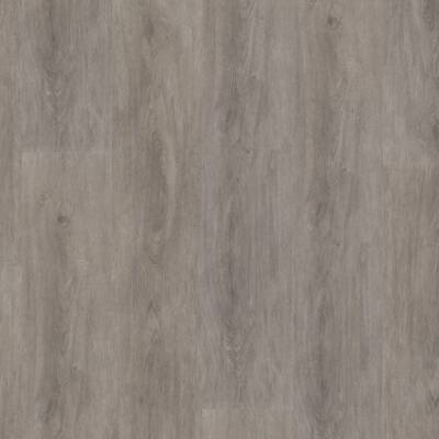 Ambiant Robusto dryback grey oak