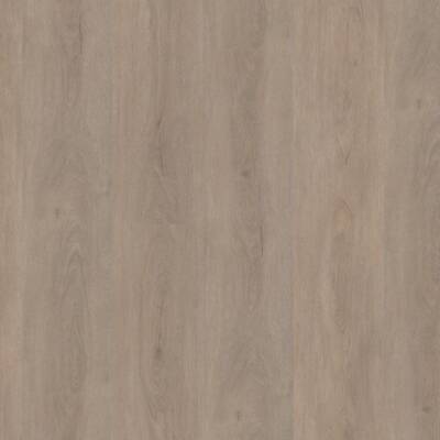 Ambiant Robusto dryback light oak