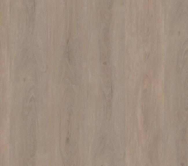 Ambiant Robusto dryback light oak