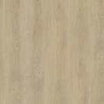 Ambiant Robusto dryback light natural