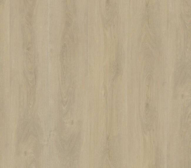 Ambiant Robusto dryback light natural