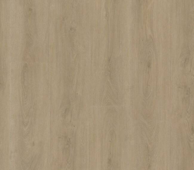 Ambiant Robusto dryback beige