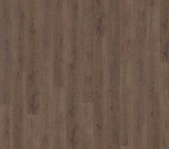 Belakos Monastro 900