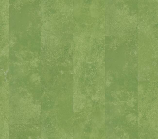 Straq P370 dryback green