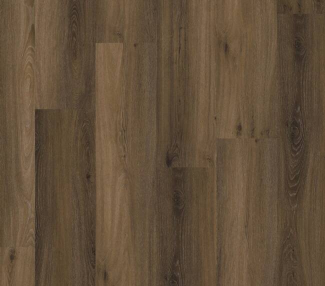 Straq P400 dryback warm brown