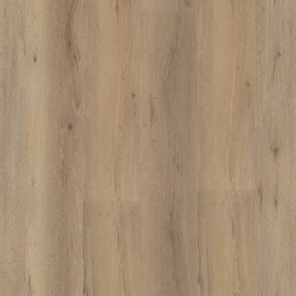 Straq P410 dryback natural oak