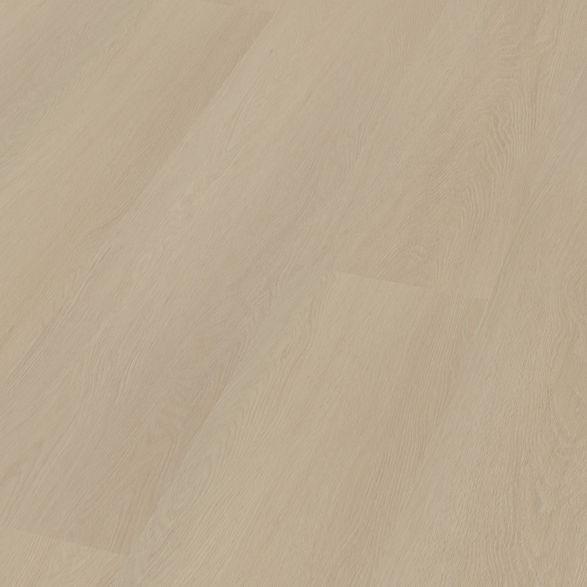 Straq P420 dryback beige - Afbeelding 2