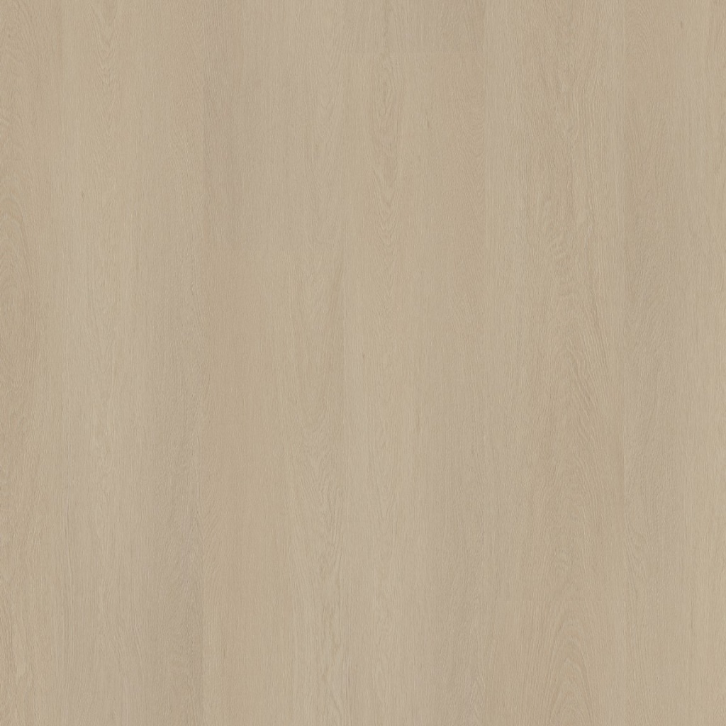 Straq P420 dryback beige