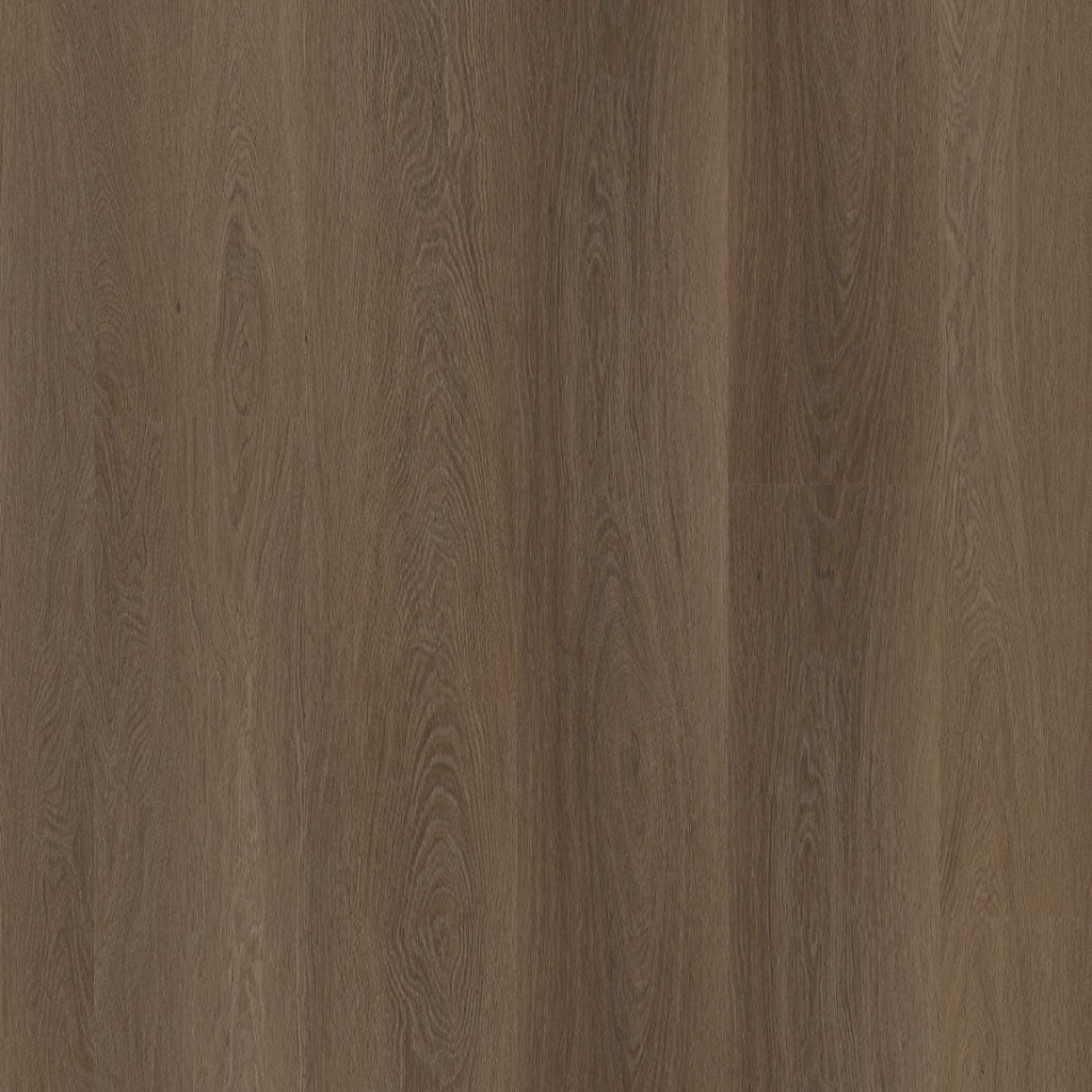 Straq P420 dryback brown