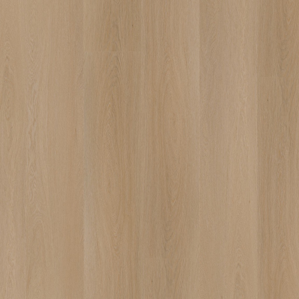 Straq P420 dryback natural oak