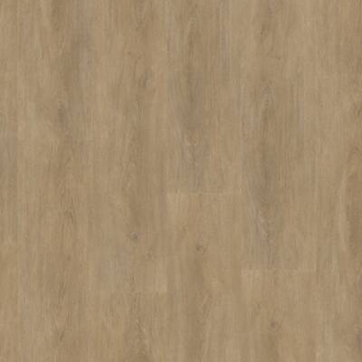 Straq P430 dryback natural oak