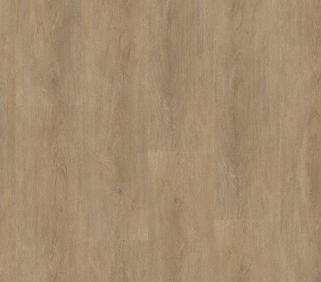 Straq P430 dryback natural oak