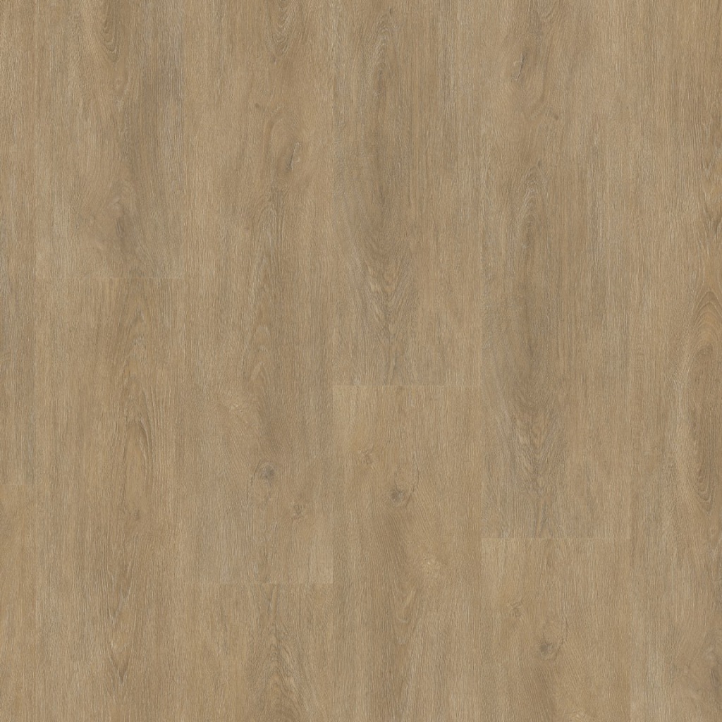 Straq P430 dryback natural oak