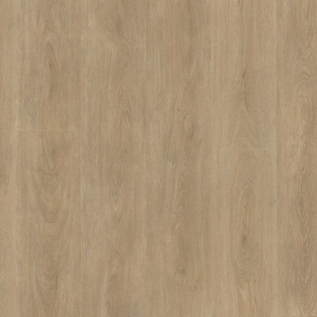 Straq P430 dryback naturel