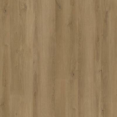 Straq P470 dryback dark oak