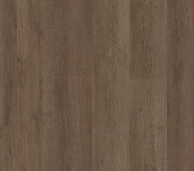 Straq P470 dryback warm brown