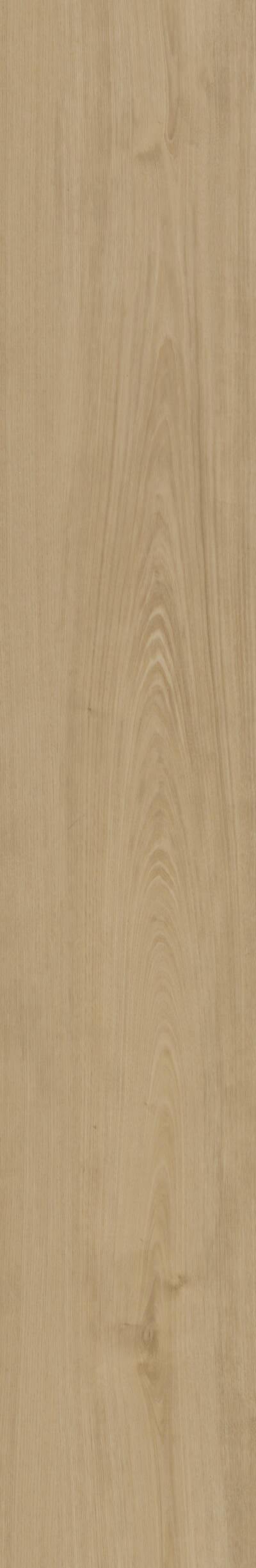 Belakos Portico 560 - Afbeelding 3