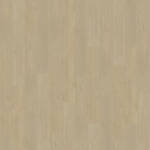 Belakos Portico 570 | Rigid Click