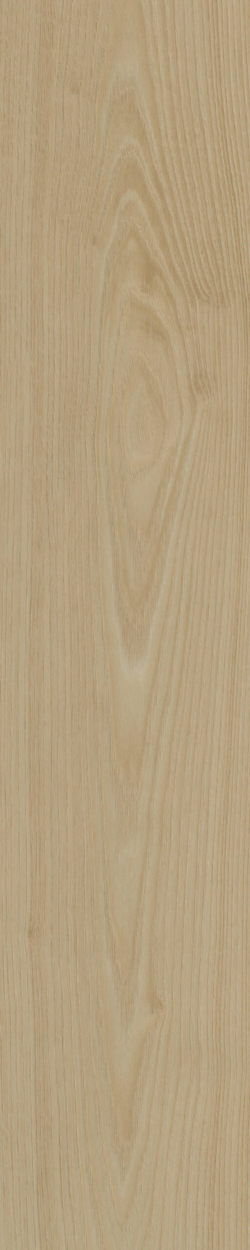 Belakos Portico visgraat XL 55 - Afbeelding 3