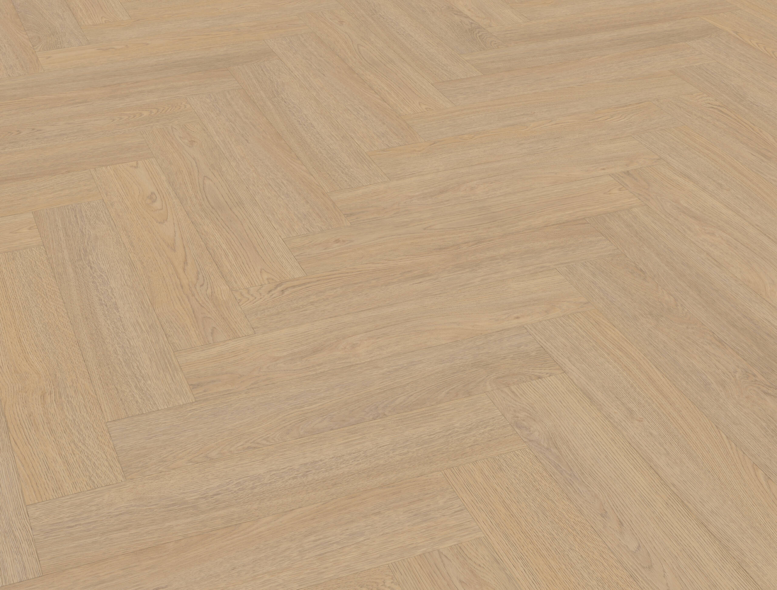 Belakos Terreno visgraat 61 | Rigid Click - Afbeelding 3
