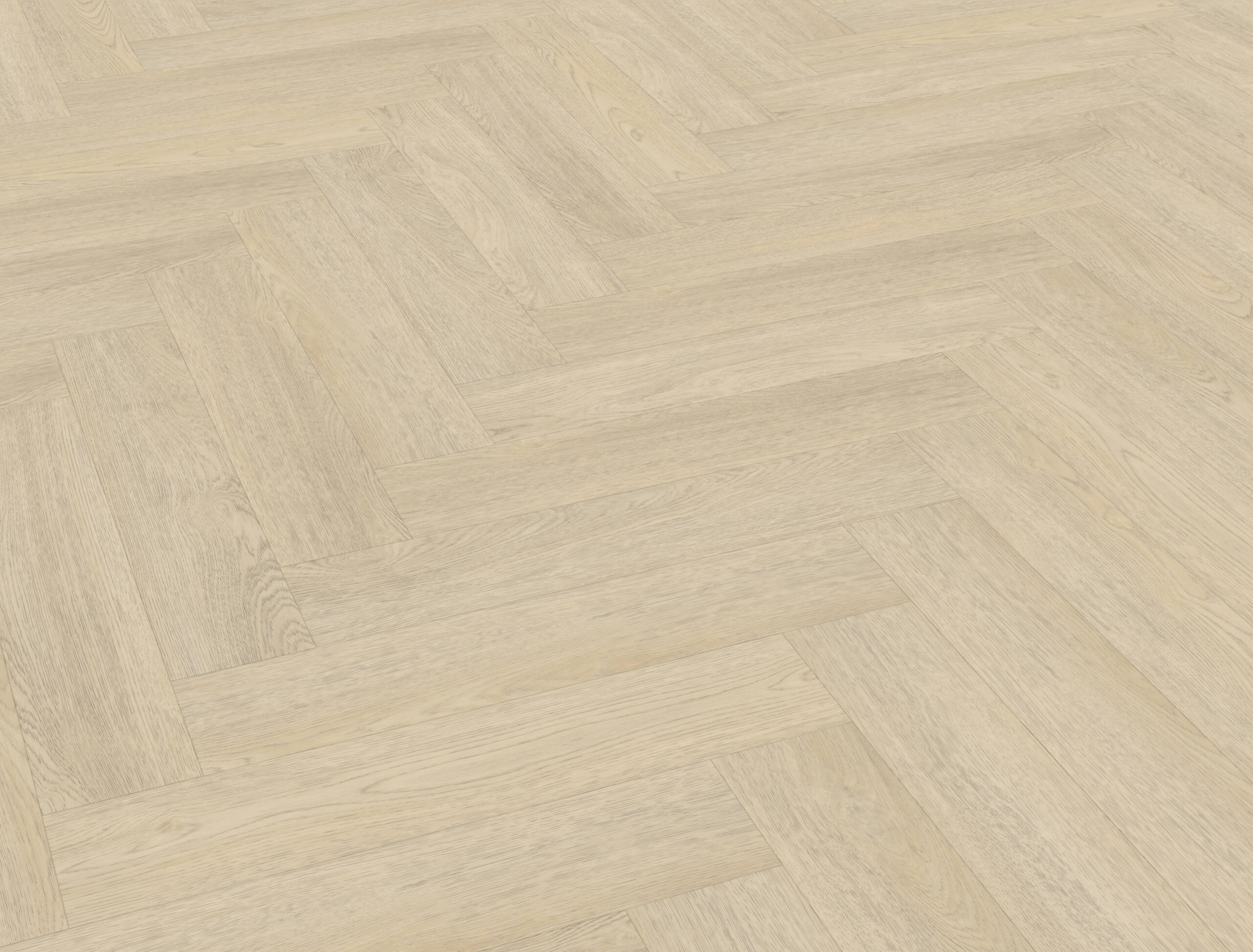 Belakos Terreno visgraat 62 | Rigid Click - Afbeelding 3