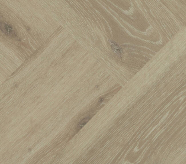 Montinique Click Chamonix Visgraat XL 57804