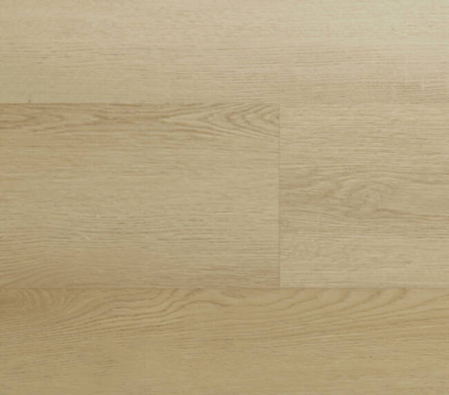 Montinique Lijmstrook Clermont XL 54821