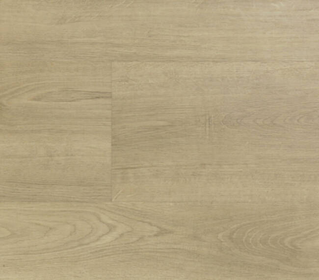 Montinique Lijmstrook Clermont XL 54822