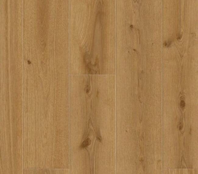 Tarkett Lijmstrook ID Inspiration 55 Delicate Oak Toffee 24514093