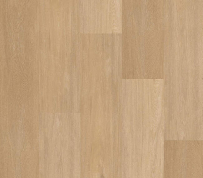 Therdex Click Chevron  Serie C12041