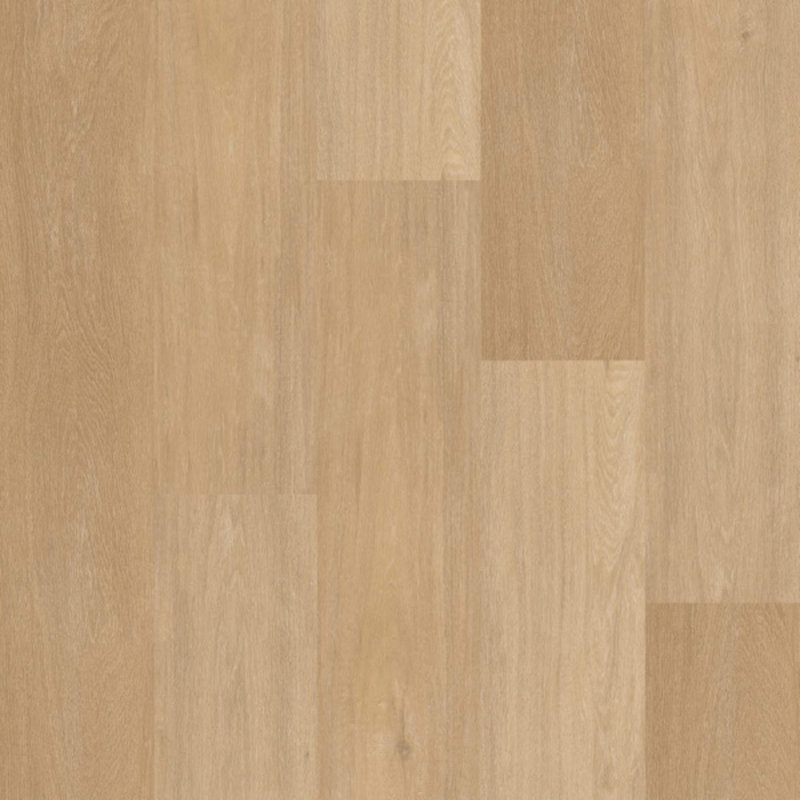 Therdex Click Chevron  Serie C12041
