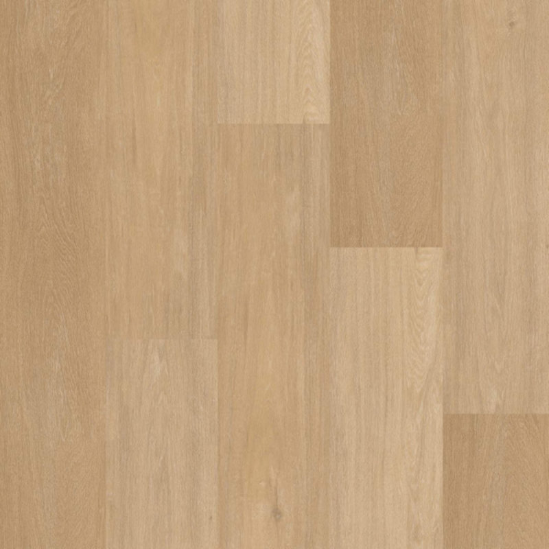 Therdex Lijmstrook Chevron Serie 12041