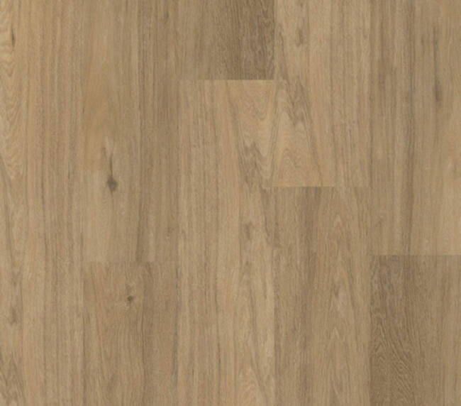 Therdex Lijmstrook Chevron Serie 12044