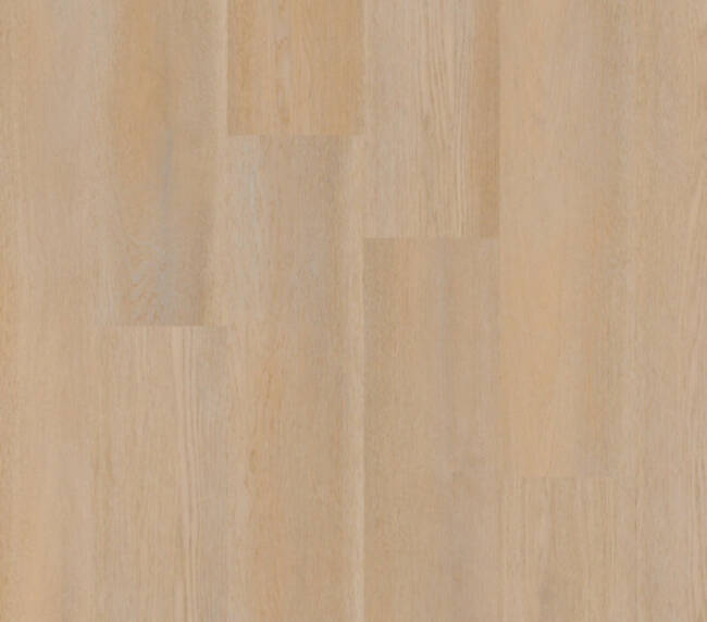 Therdex Lijmstrook Premier Serie 15080