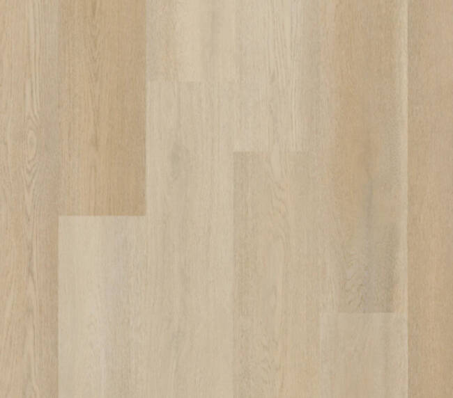 Therdex Lijmstrook Premier Serie 15082